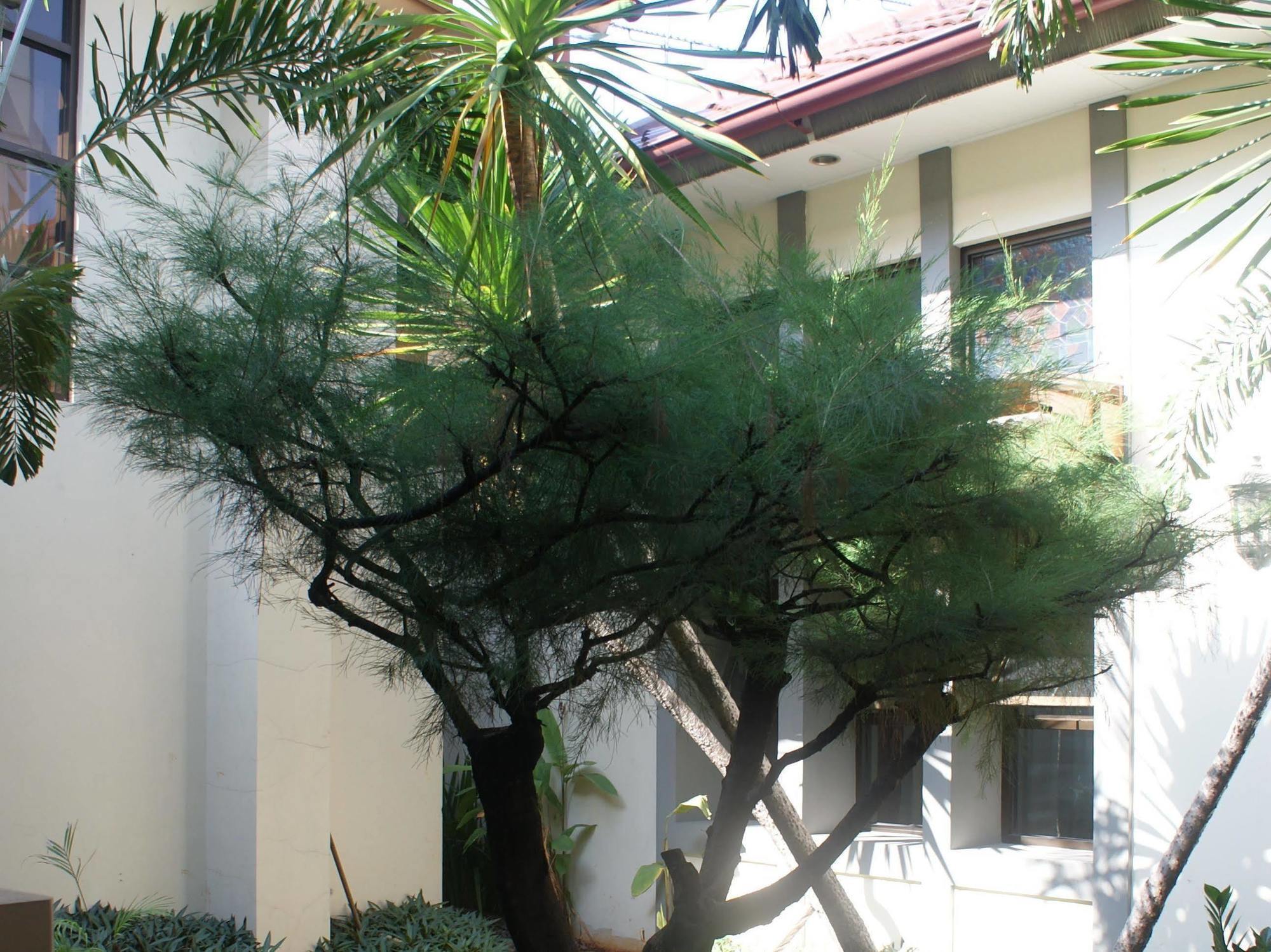 Sofyan Hotel Soepomo Jakarta Kültér fotó